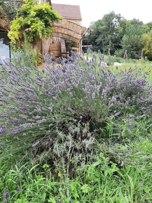 Charmant Studio Dans Maison D'Hote Dans Un Ecrin De Verdure Saint-Martin-le-Redon ภายนอก รูปภาพ
